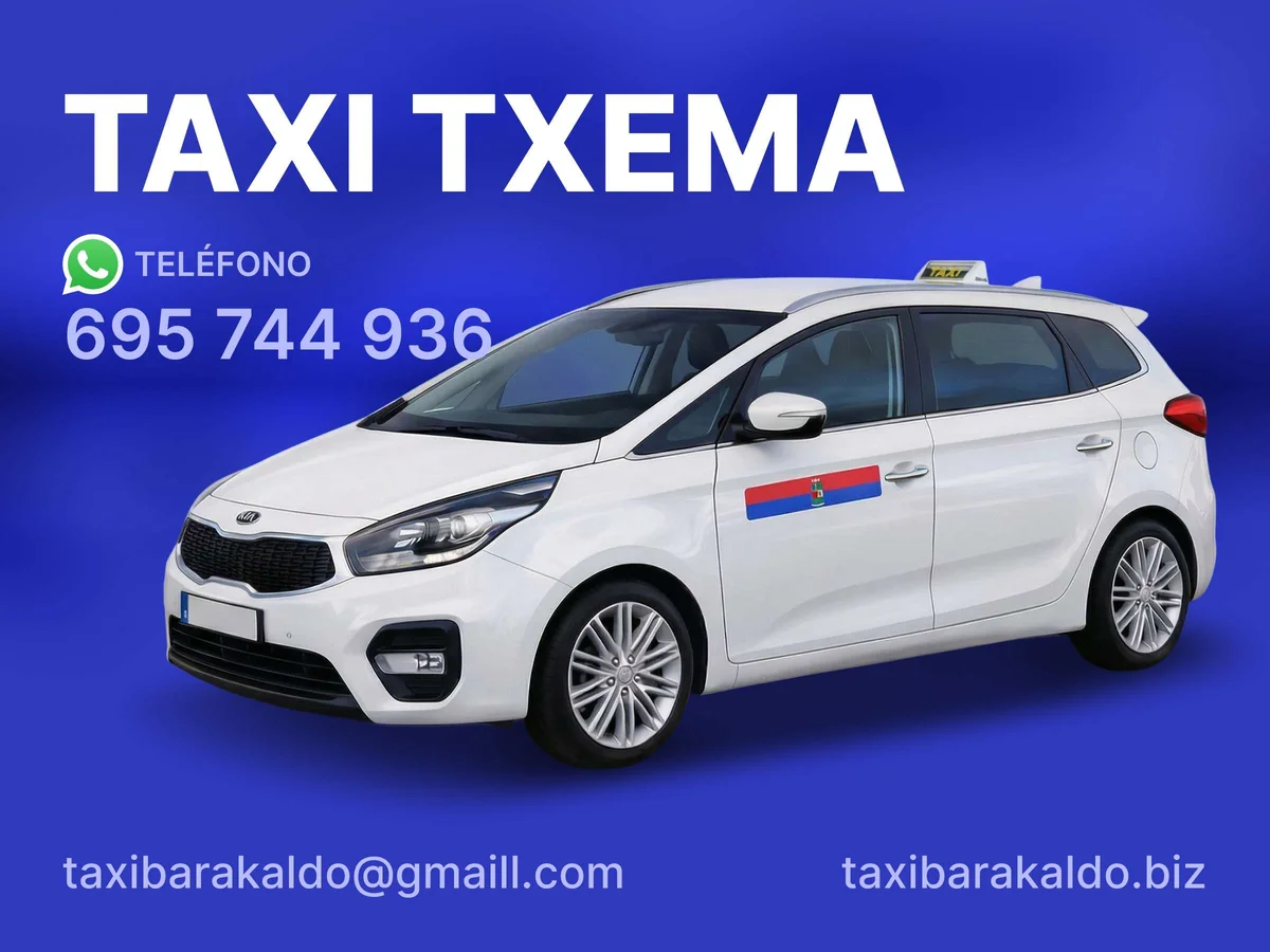 Vehículo Taxi Renault Scenic en Barakaldo para traslados cómodos